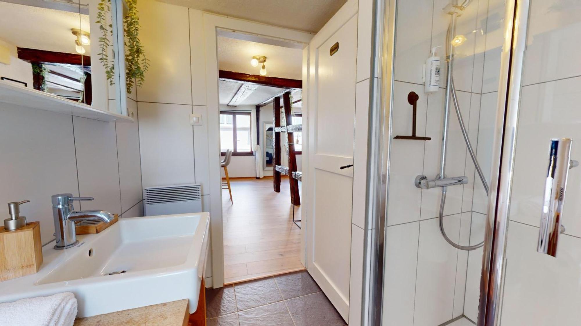 Au Petit Vauban 2 Chambres & Parking 콜마 외부 사진