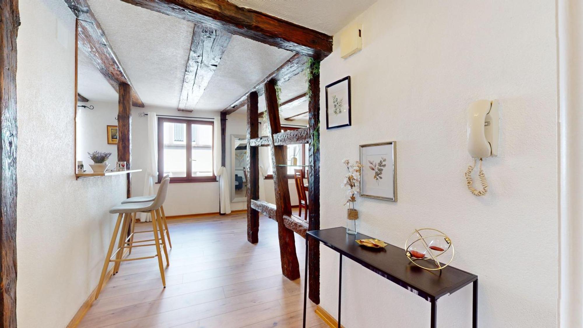 Au Petit Vauban 2 Chambres & Parking 콜마 외부 사진
